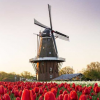 AADAS Zoom Webinar – A discussion about Dutch American Heritage Sites
